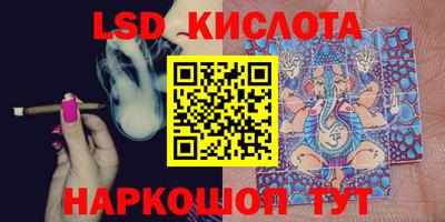 стаф Кулебаки