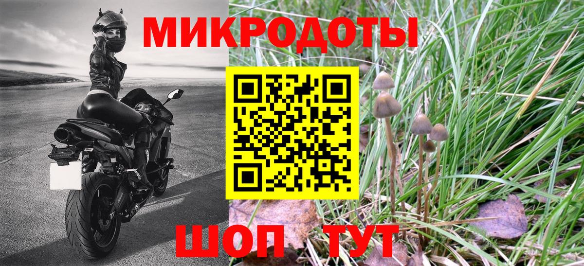 Псилоцибиновые грибы GOLDEN TEACHER  Галлюциногенные грибы GOLDEN TEACHER  Ижевск  Вход с VPN 